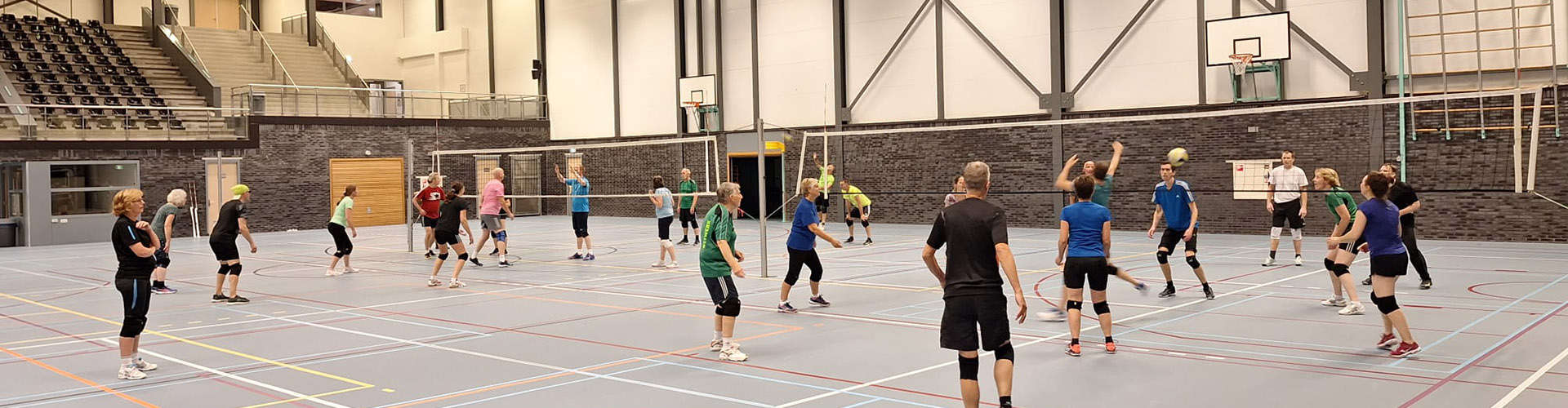 VV netwerk mix recreanten volleybal